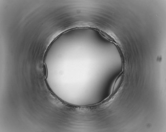 X0000091071089200709041214