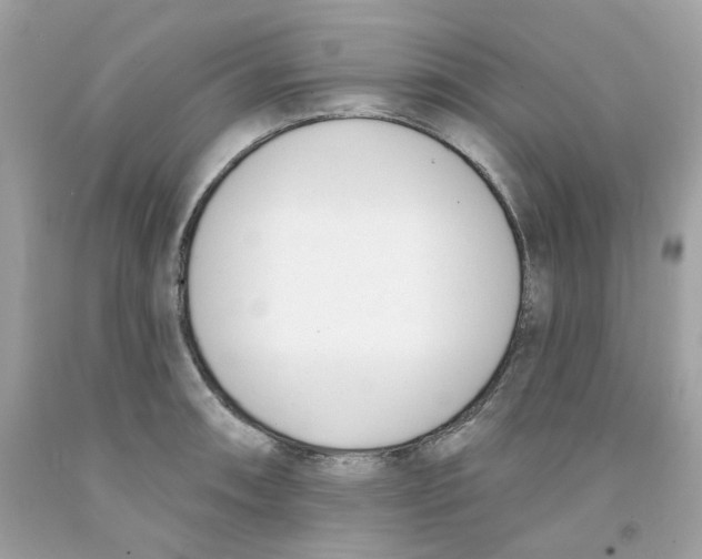 X0000091071090200709041214