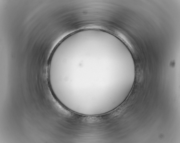 X0000091071092200709041214