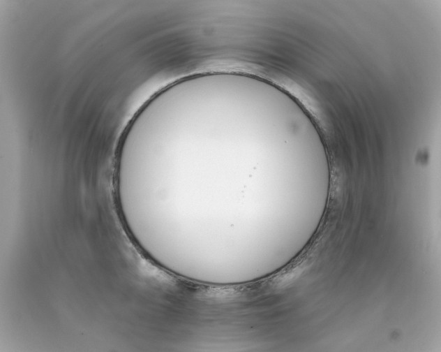 X0000091071094200709041214