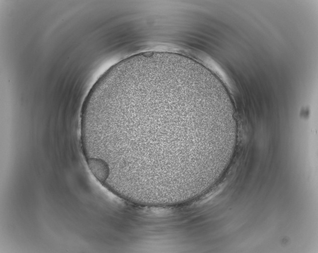 X0000091071095200709041214