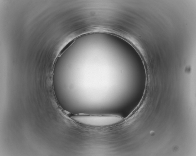 X0000091071097200709041214