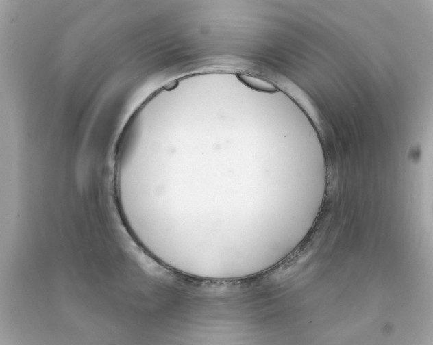 X0000091071099200709041214