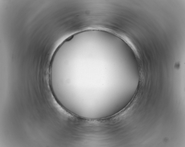 X0000091071100200709041214