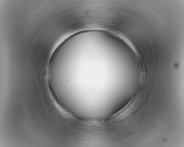 X0000091071101200709041214