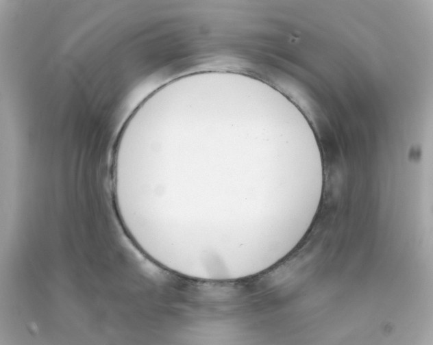 X0000091071103200709041214