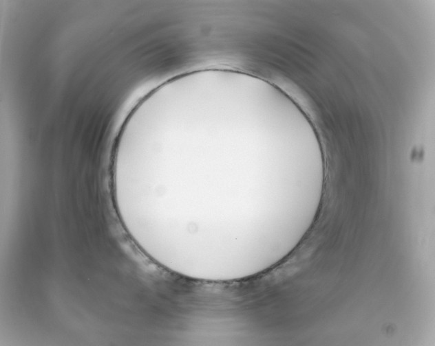 X0000091071104200709041214