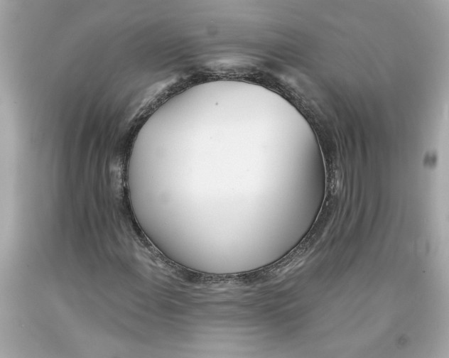 X0000091071108200709041213