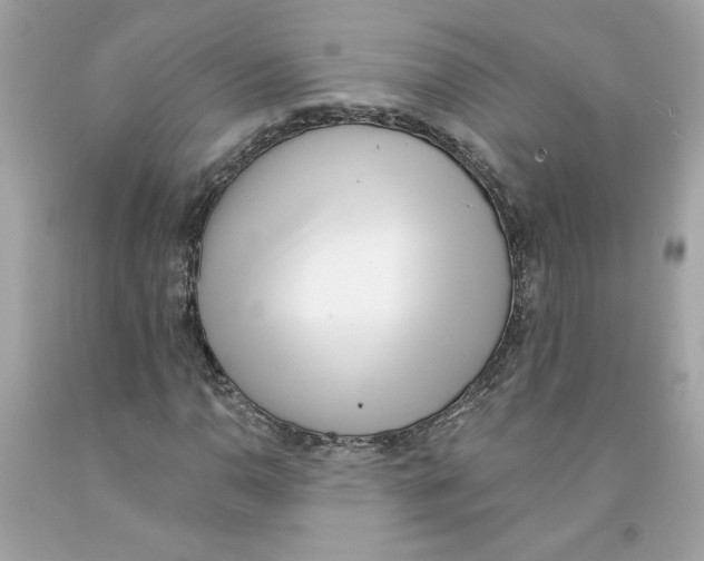 X0000091071110200709041213