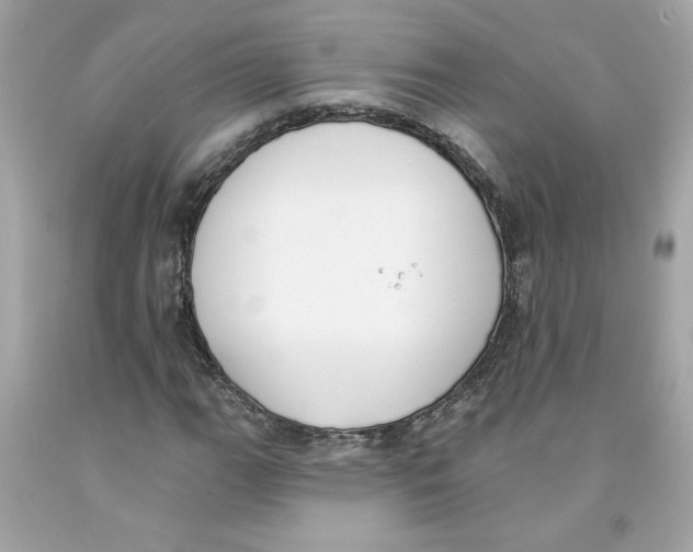 X0000091071111200709041213
