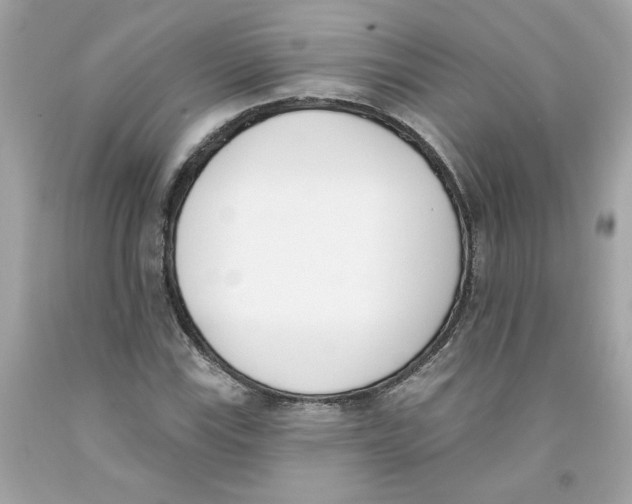 X0000091071115200709041214