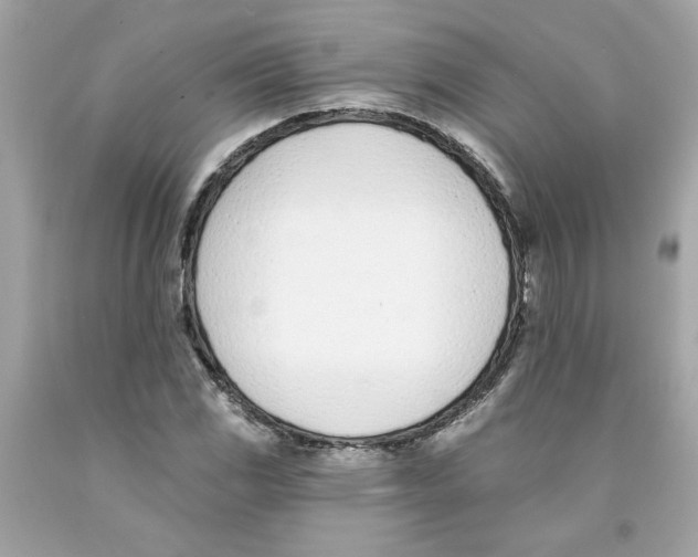 X0000091071117200709041214