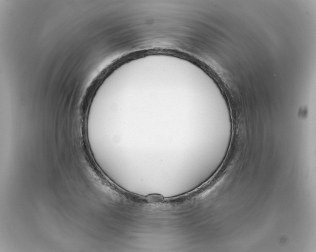 X0000091071118200709041214