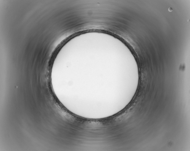 X0000091071119200709041214
