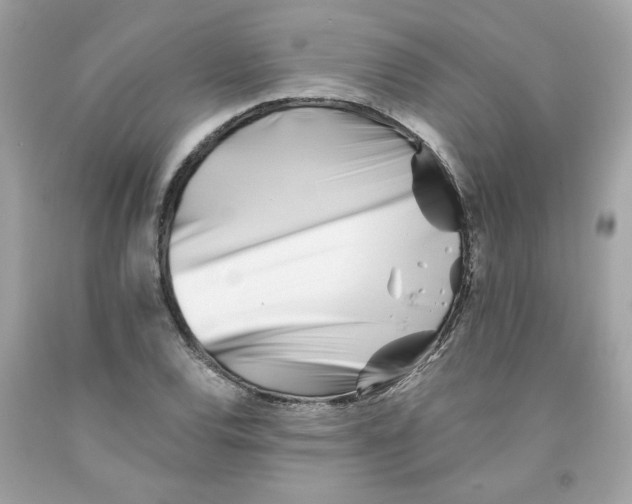 X0000091071120200709041214