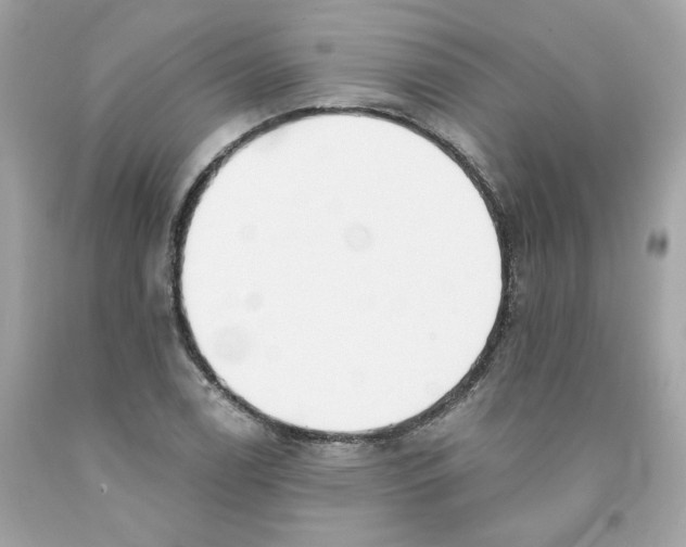 X0000091071122200709041214