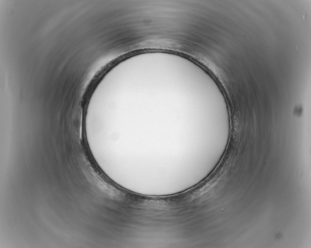 X0000091071123200709041214