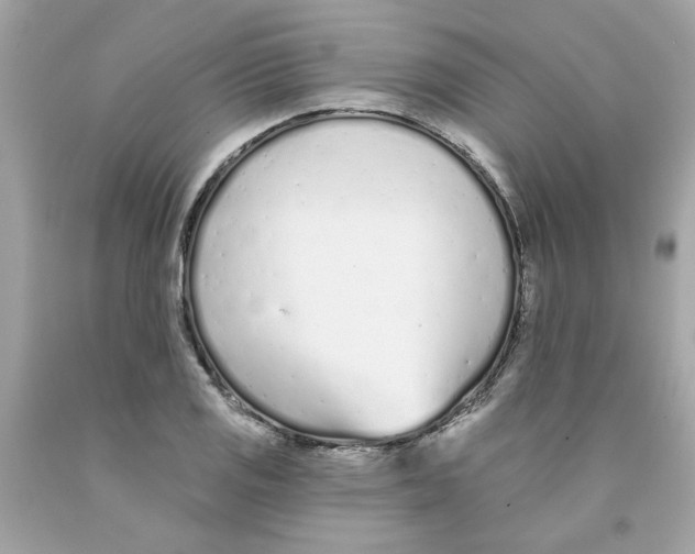 X0000091071125200709041214