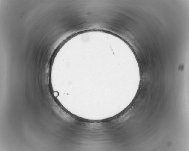 X0000091071126200709041214