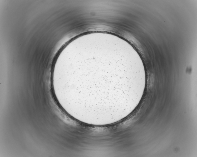 X0000091071130200709041214