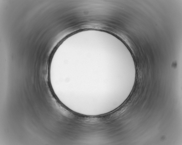 X0000091071131200709041214