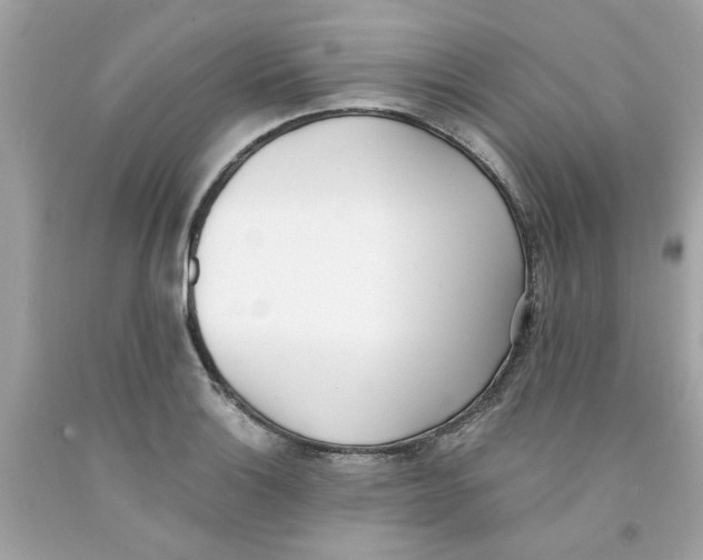 X0000091071132200709041214