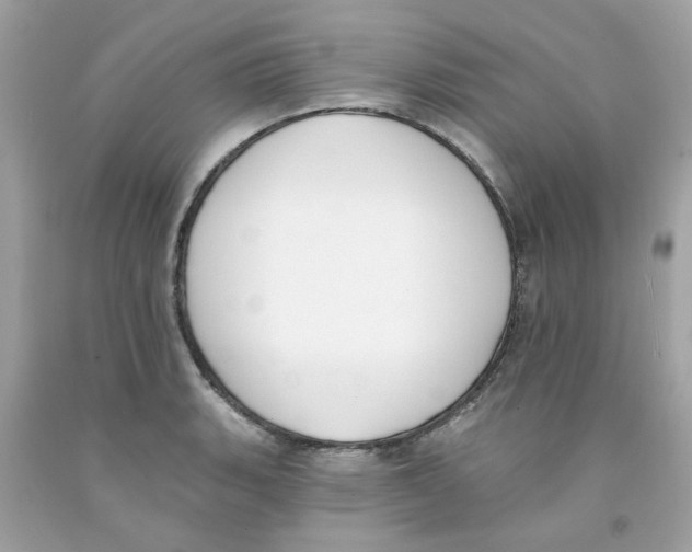 X0000091071135200709041214