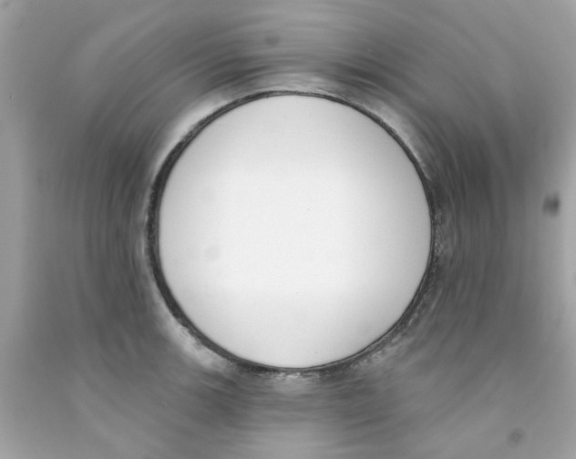 X0000091071139200709041214