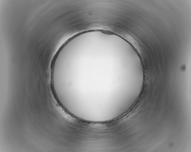 X0000091071140200709041214
