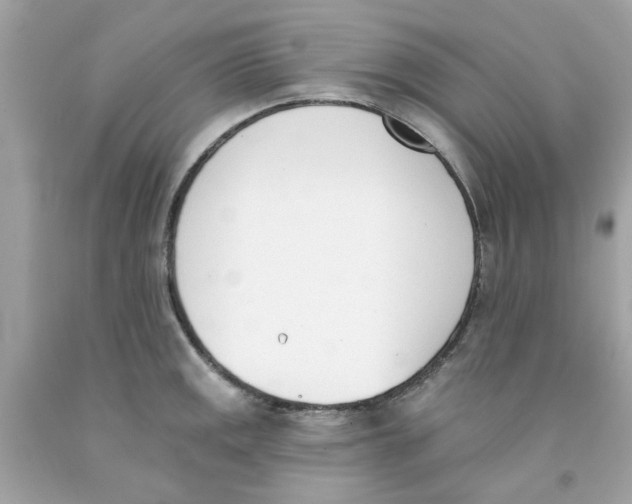X0000091071141200709041214