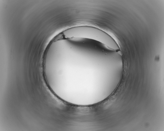 X0000091071142200709041214