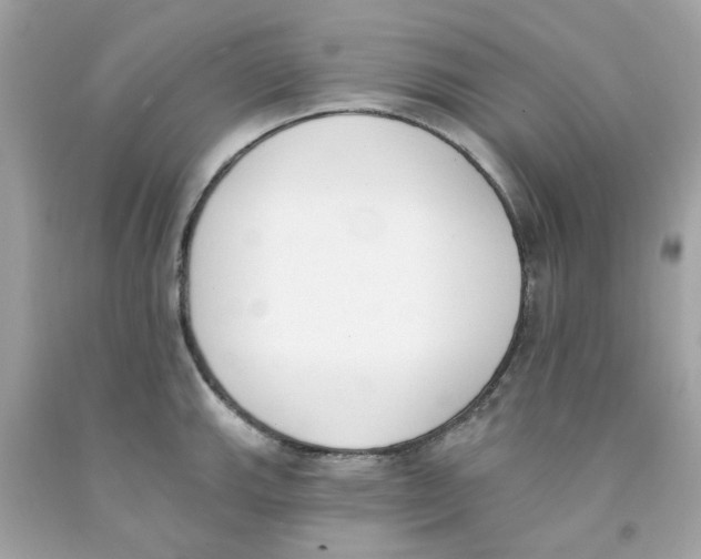 X0000091071143200709041214
