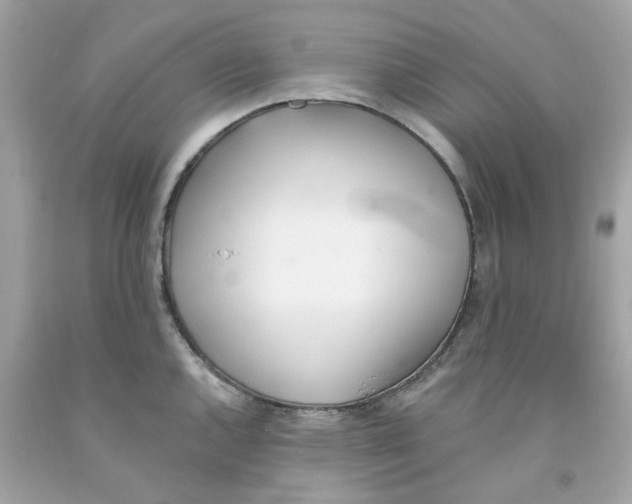 X0000091071144200709041214