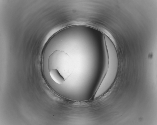 X0000091071146200709041214