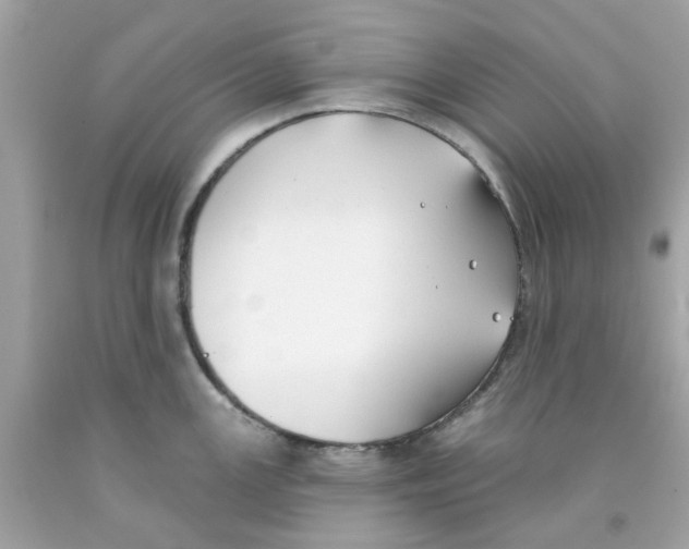 X0000091071147200709041214