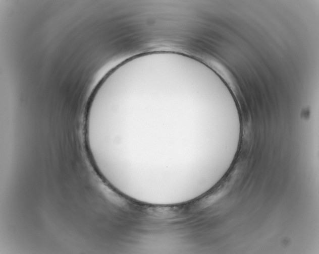 X0000091071149200709041214