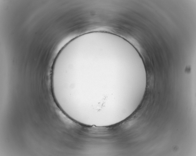 X0000091071151200709041214