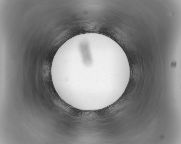 X0000091071154200709041213
