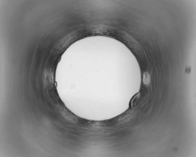 X0000091071155200709041213