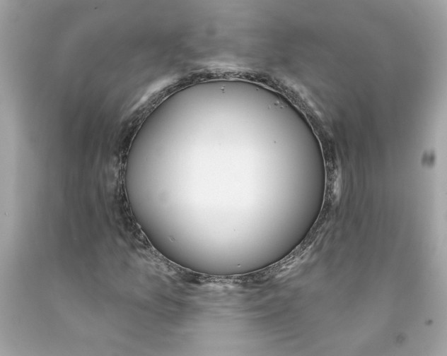 X0000091071157200709041213