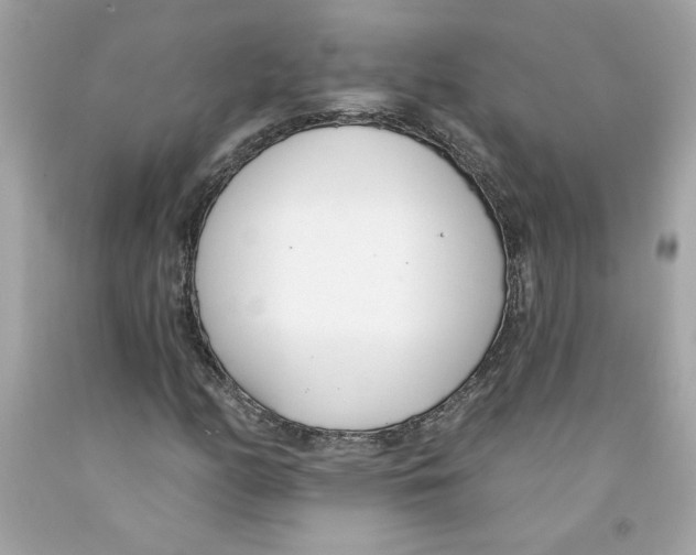 X0000091071158200709041213