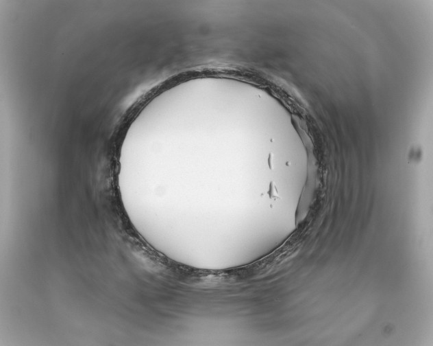 X0000091071160200709041213