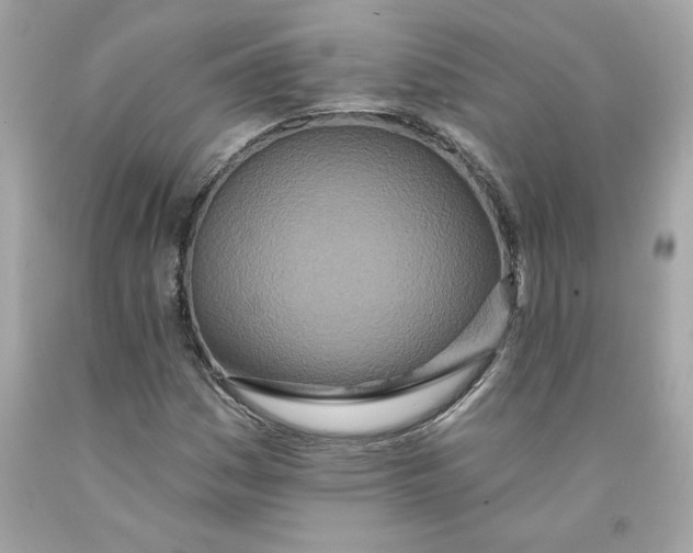 X0000091071161200709041213