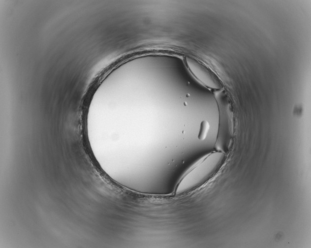 X0000091071164200709041213