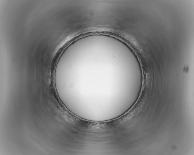 X0000091071165200709041213