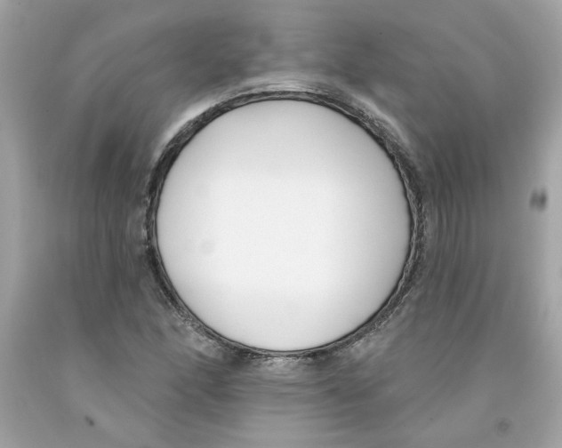 X0000091071166200709041213