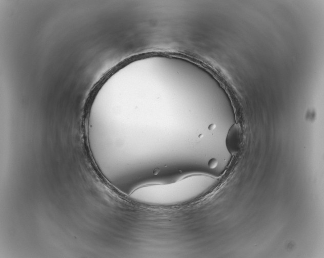 X0000091071168200709041213