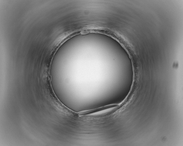 X0000091071169200709041213