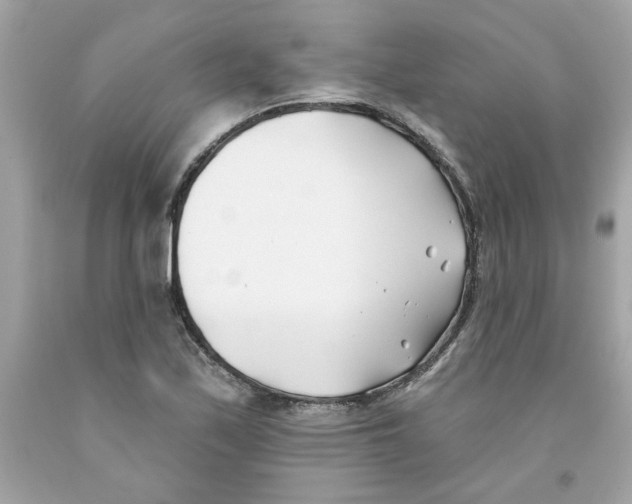 X0000091071171200709041213