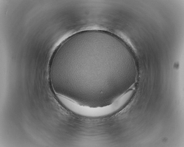 X0000091071173200709041213